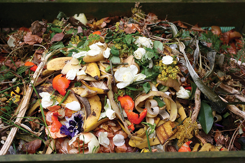 compost pile