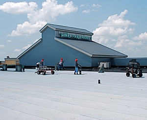 Alamo Quarry Market Whole Foods